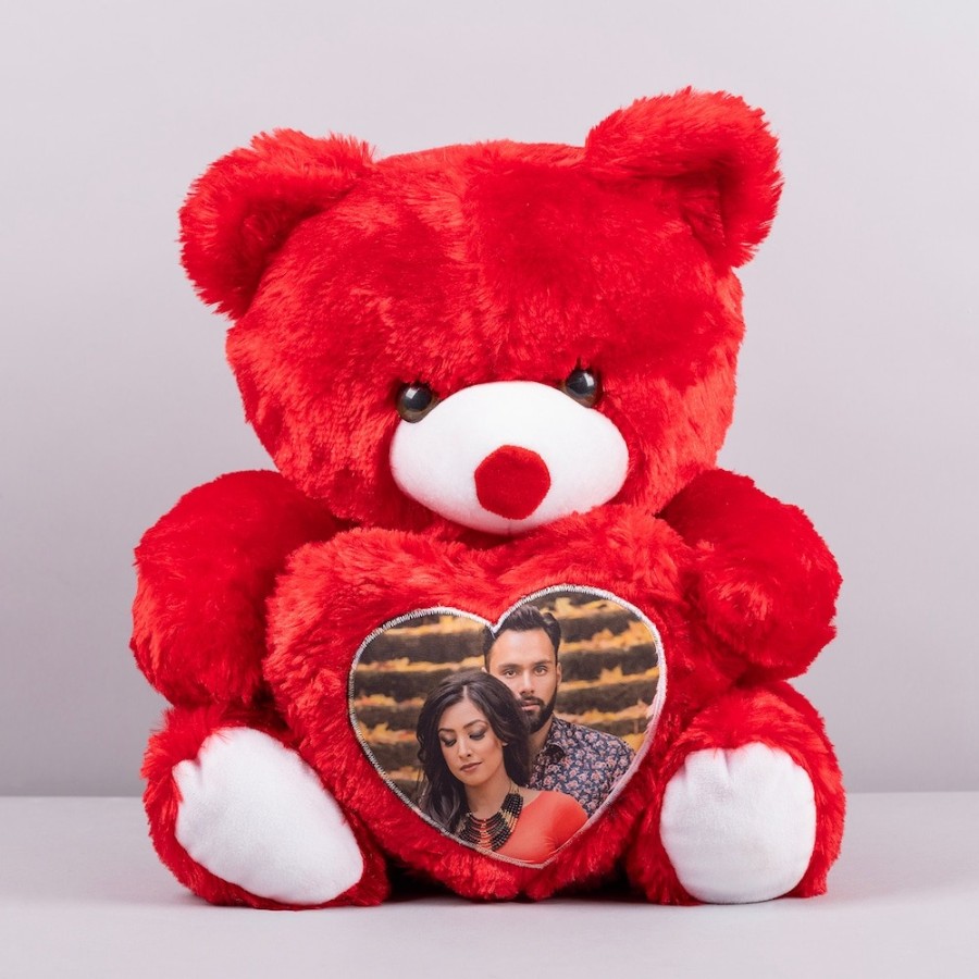 PL18 Teddy Photo Pillow 11x15